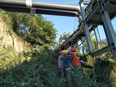 追趕超越，他們用行動爭做排頭兵