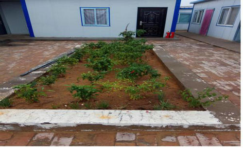 洗選煤運營公司傾心打造“舒適套餐”