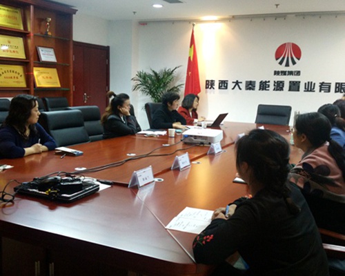 大秦置業(yè)公司積極開展銅川新區(qū)存量土地財稅業(yè)務座談交流