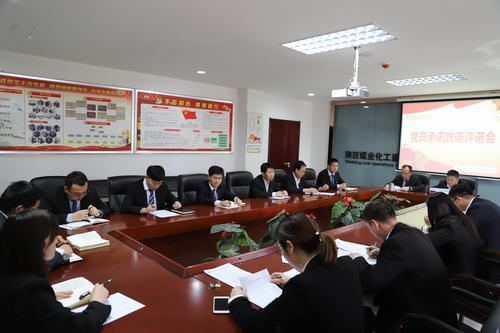 陜煤建設(shè)洗選煤分公司機(jī)關(guān)黨支部召開黨員承諾踐諾評諾專題會(huì)