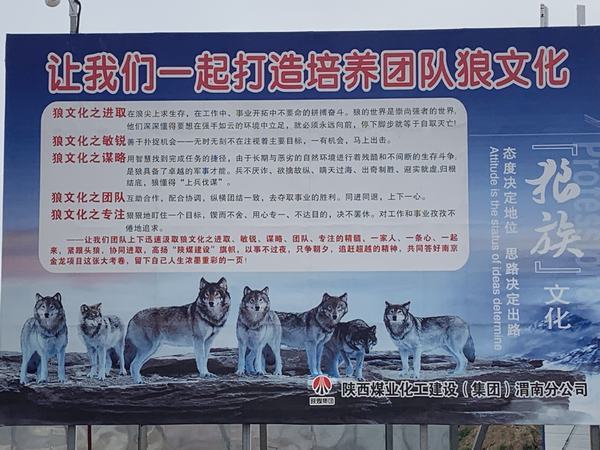 陜煤建設渭南分公司南京金龍項目部強堡壘 助發(fā)展