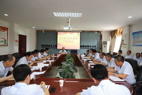 陜煤建設(shè)洗選煤運營公司全面推進(jìn)基層黨支部標(biāo)準(zhǔn)化建設(shè)工作