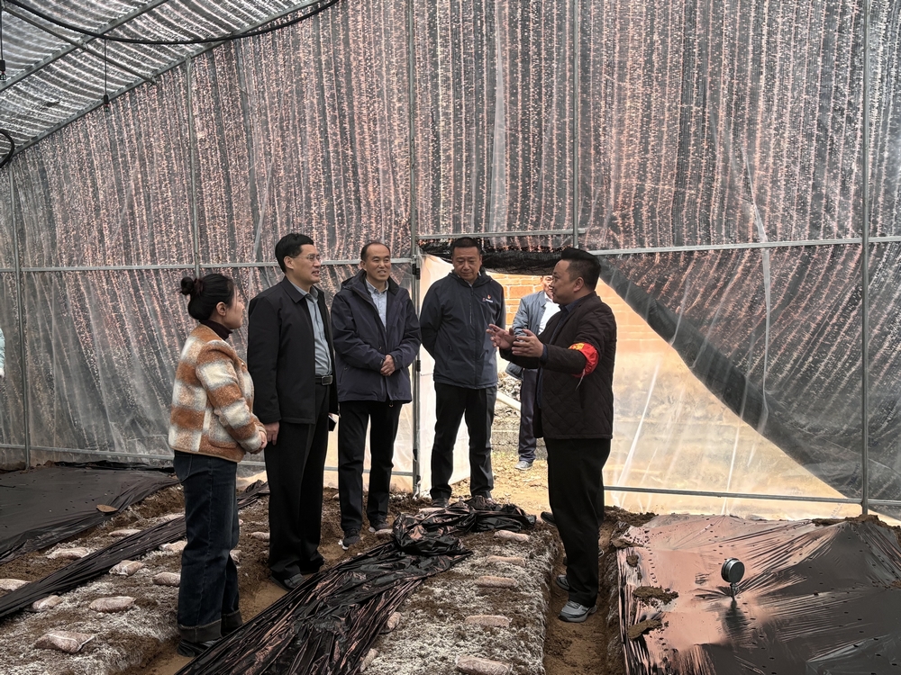 司正林深入定點幫扶村和漢陰實驗中學項目調(diào)研指導工作