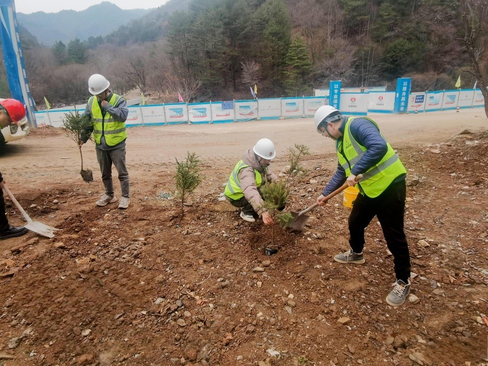 “植”此青綠，陜煤建設路橋分公司春風十里添新林