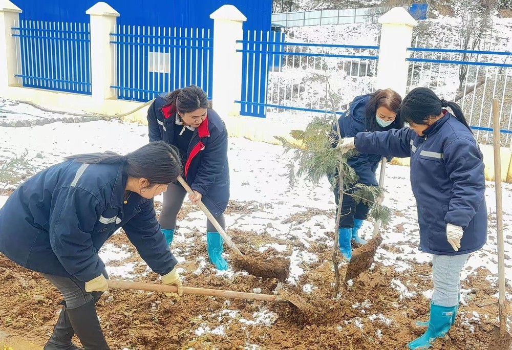 陜煤建設礦建三公司：巾幗添綠綻芳華，共筑生態(tài)新環(huán)境