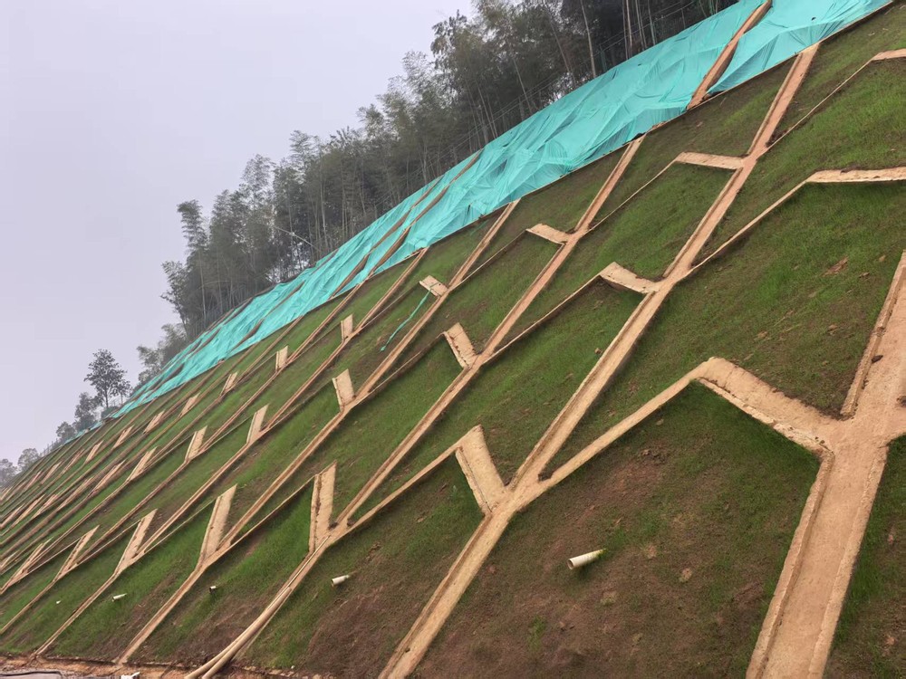 陜煤建設(shè)西北分公司：邊坡披綠衣，防護(hù)顯匠心