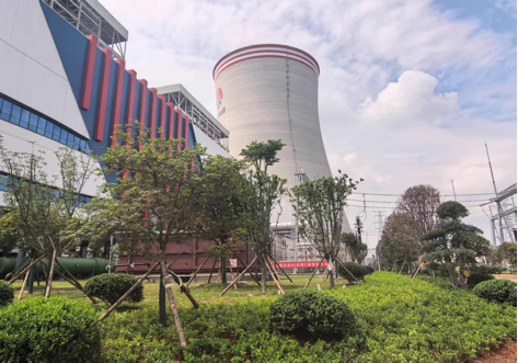 陜煤建設(shè)西北分公司：綠意盎然入電廠，生態(tài)建設(shè)譜新章