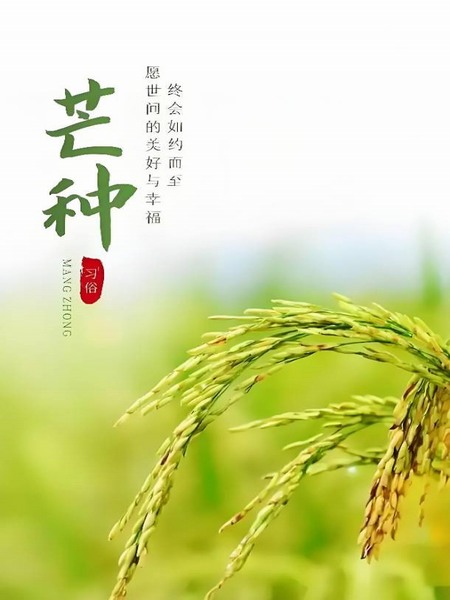 “忙”有所得  “終”有所獲