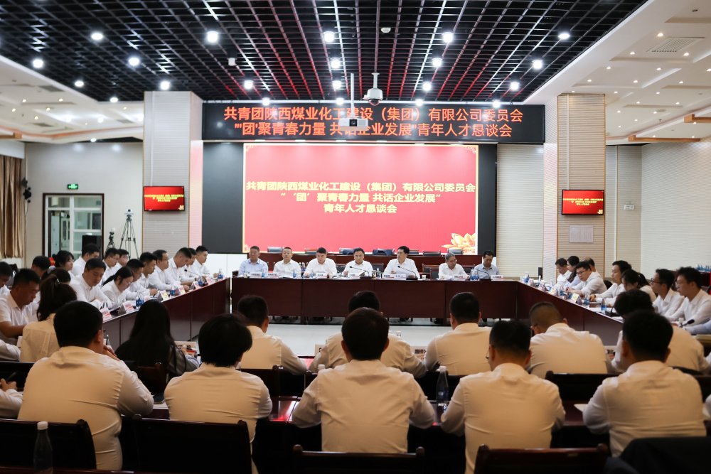 建設(shè)集團召開青年人才懇談會