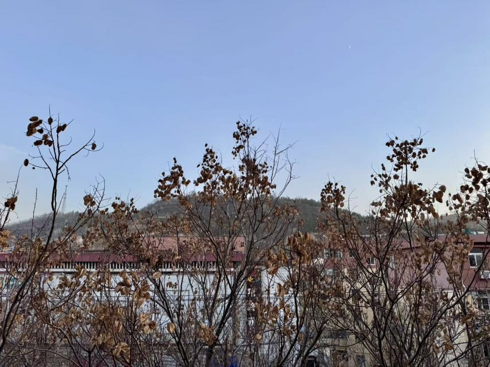 秋意漸濃時(shí)，回望來(lái)時(shí)路