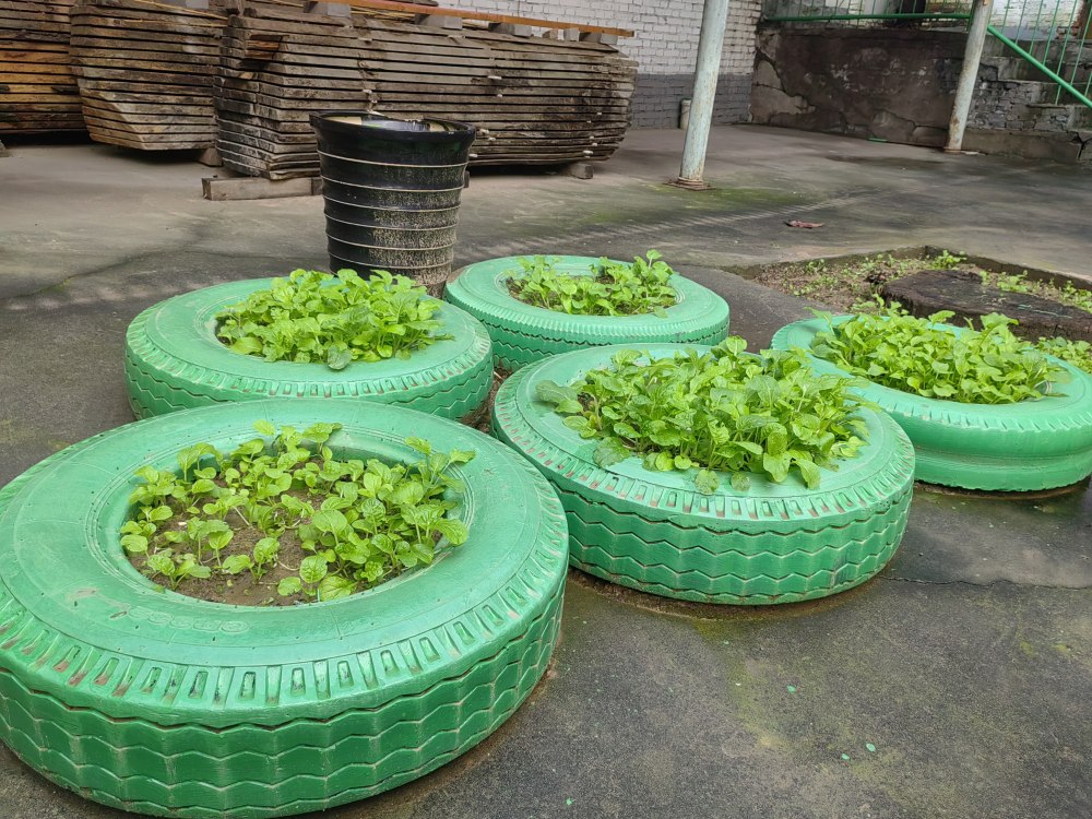 創(chuàng)意無休，廢舊輪胎也能C位出道